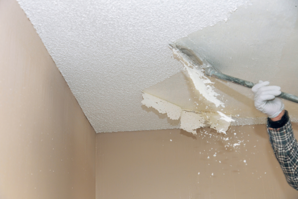 Ceiling Repair work