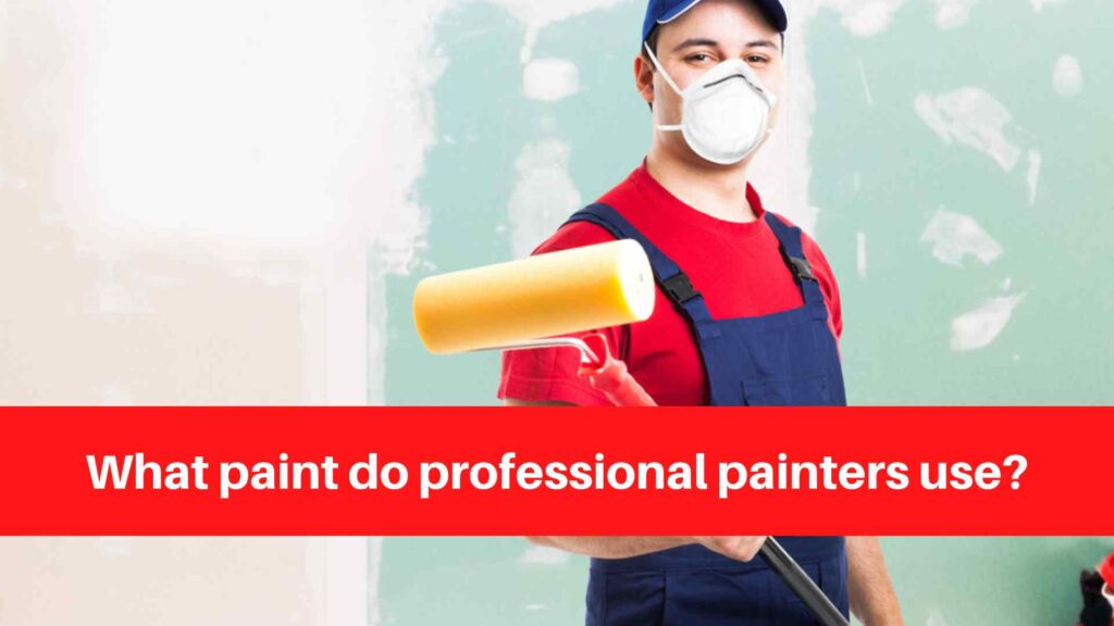 What paint do professional painters use